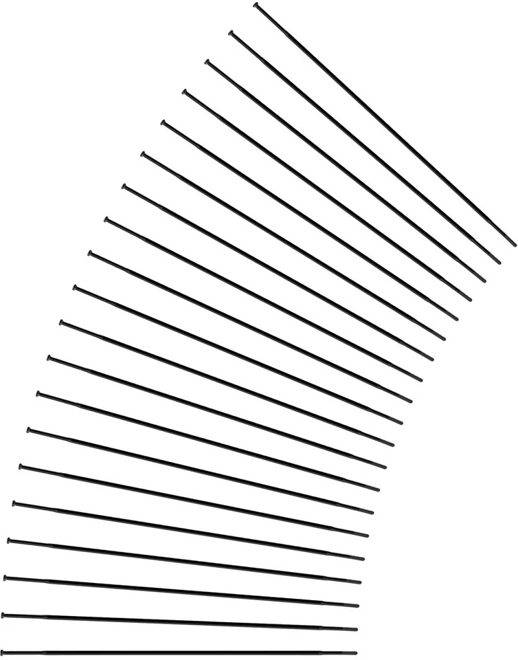 Sapim Rayons CX-Ray Straightpull + Écrous - 20 Pièces - Fin De Série – Image 5