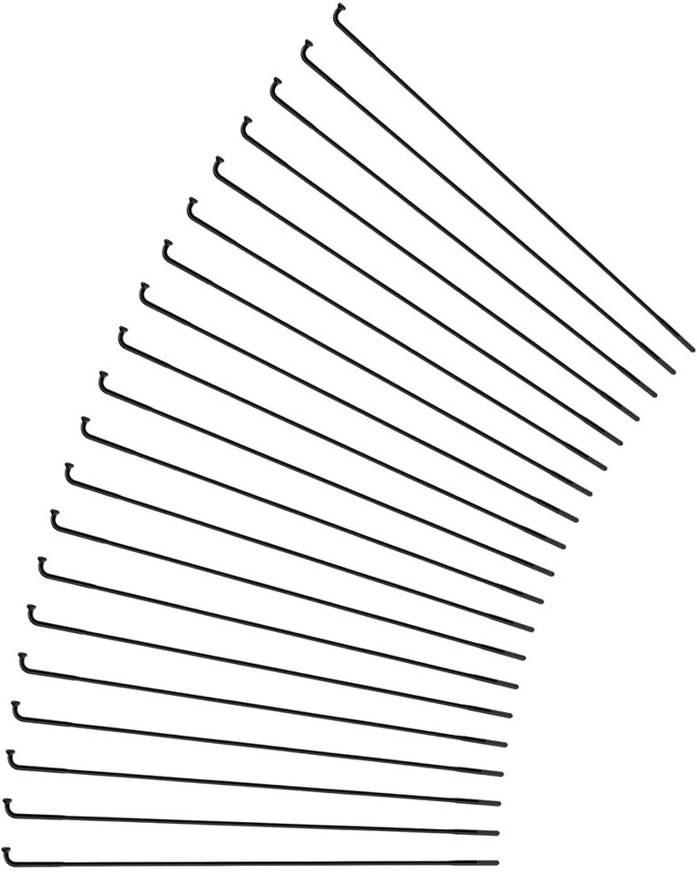 Sapim Rayons Race J-Bend Pour Rohloff - 20 Pièces - Fin De Série – Image 5