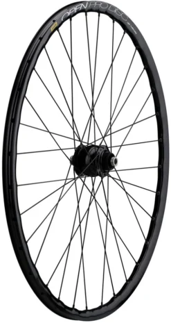 Roue Delux 12 + Open Pro UST Disc + Sapim Race 28"