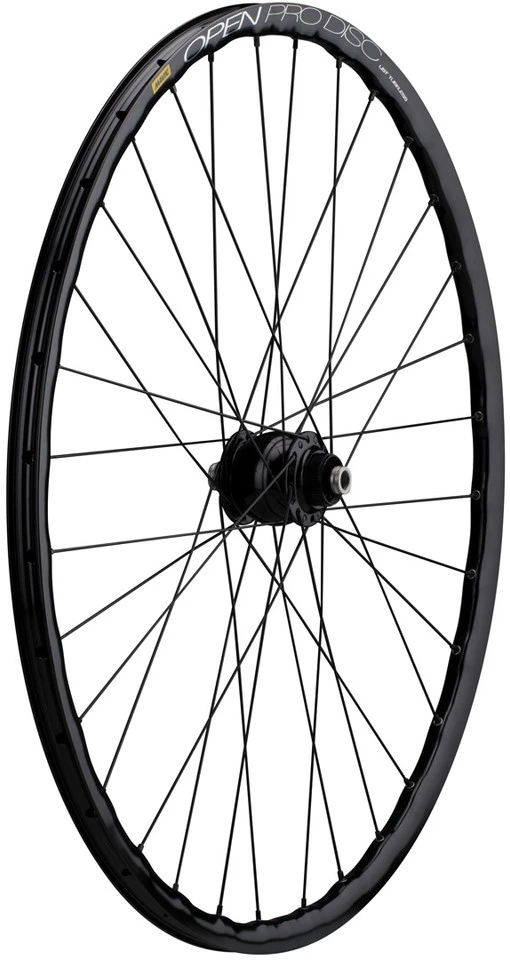 Roue Delux 12 + Open Pro UST Disc + Sapim Race 28"