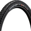 MAXXIS Pneu Souple Minion DHF 3C MaxxTerra EXO TR 29"
