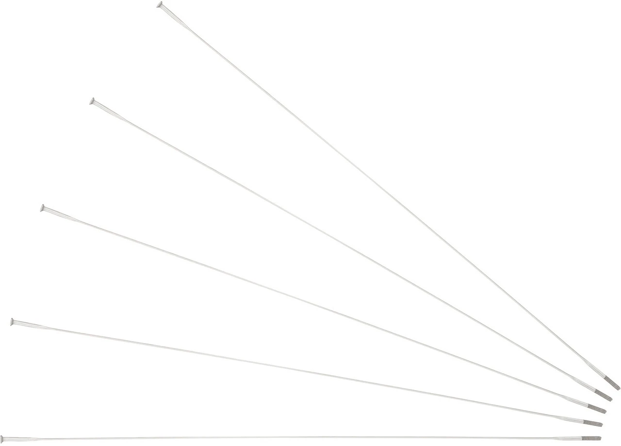 Sapim Rayons CX-Ray Straightpull + Écrous - 5 Pièces – Image 6